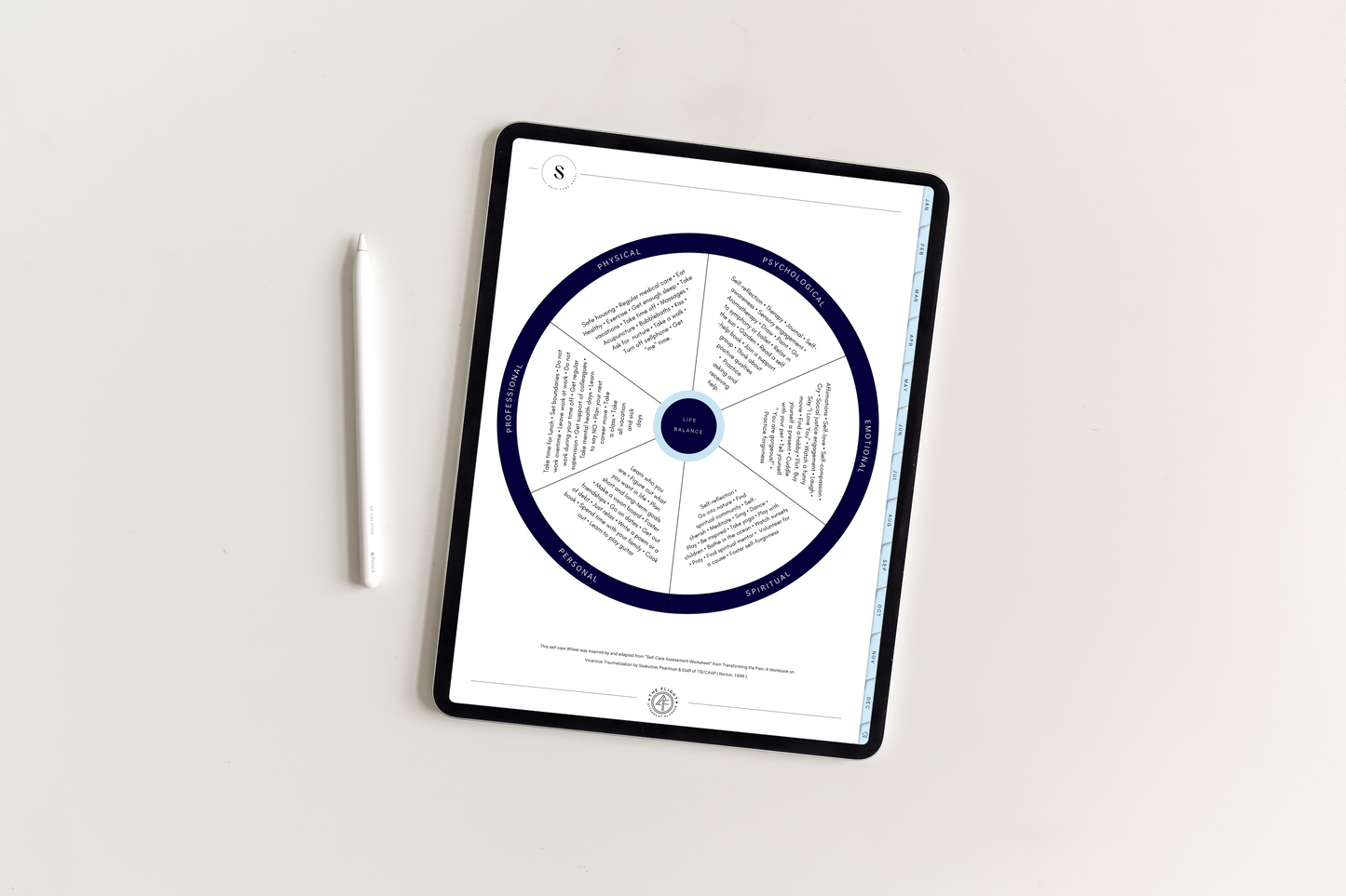 UNDATED iPad Flight Attendant Planner